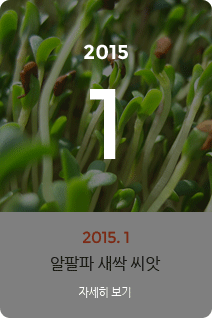 2015년 1월의 채소