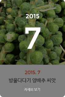 2015년 7월의 채소