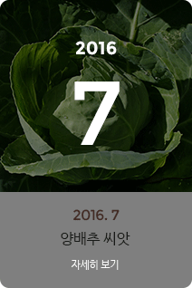 2016년 7월의 채소