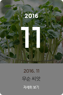 2016년 11월의 채소