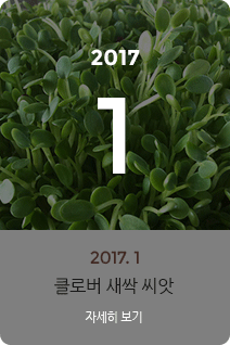 2017년 1월의 채소