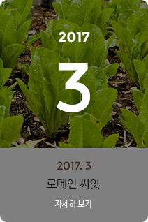 2017년 3월의 채소