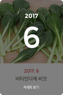 2017년 6월의 채소