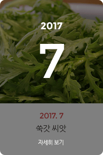 2017년 7월의 채소