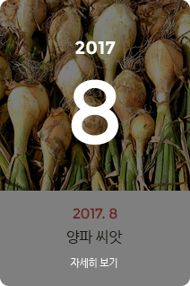 2017년 8월의 채소