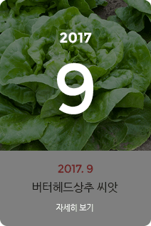 2017년 9월의 채소